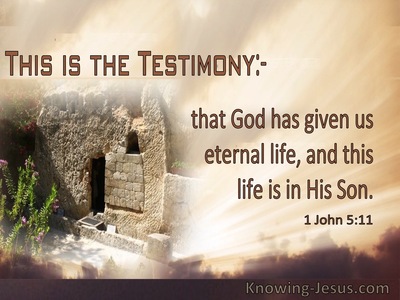 The Testimony of God 1 John 5