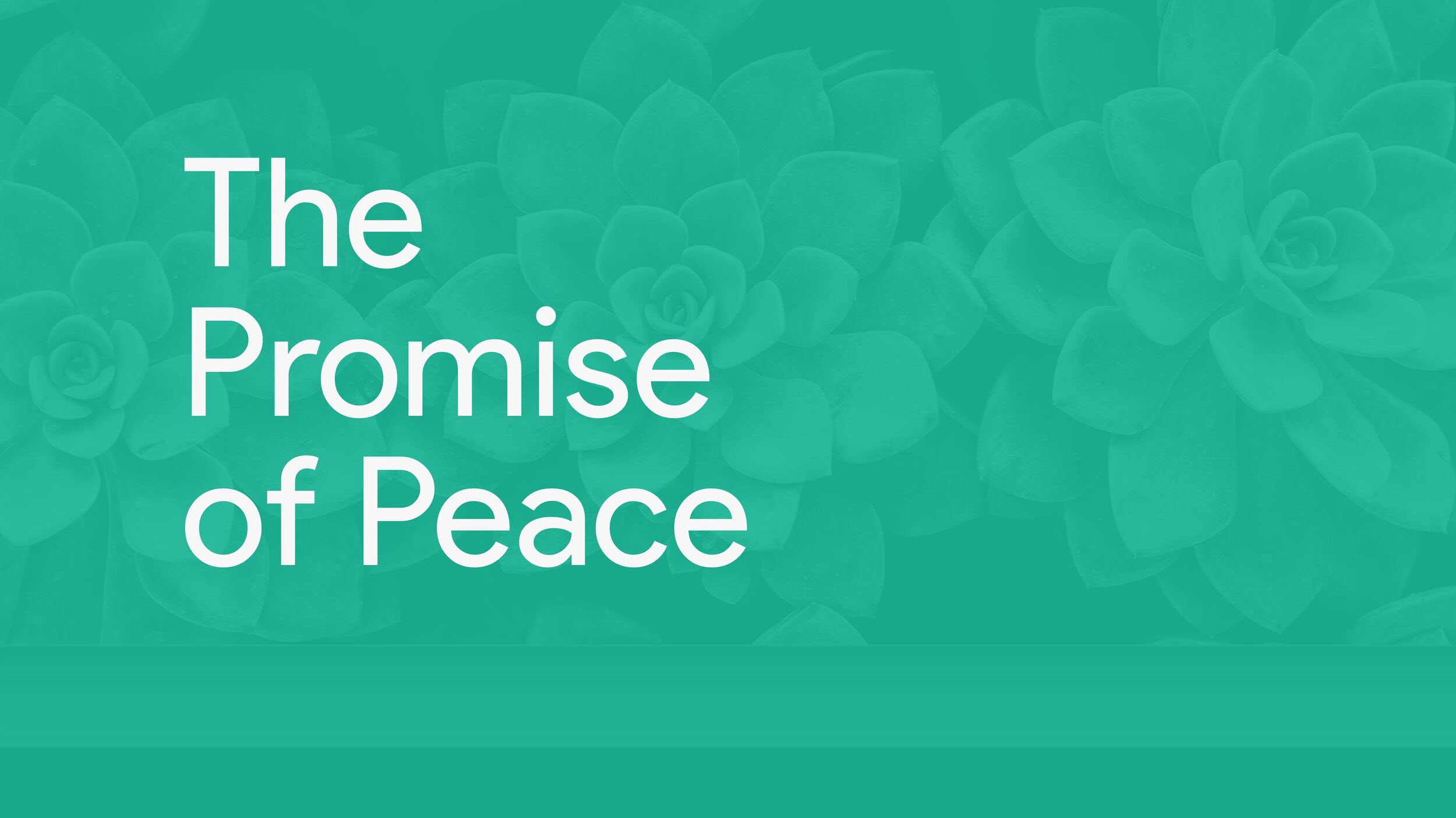 The Promise of Peace (first Sunday of Advent 2021)